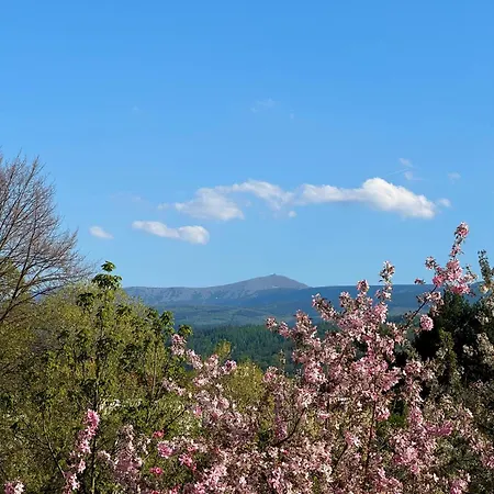 Cieplicka 144 Z Widokiem Na Karkonosze Apartment *