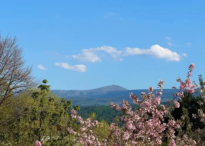 Cieplicka 144 Z Widokiem Na Karkonosze Апартаменты *